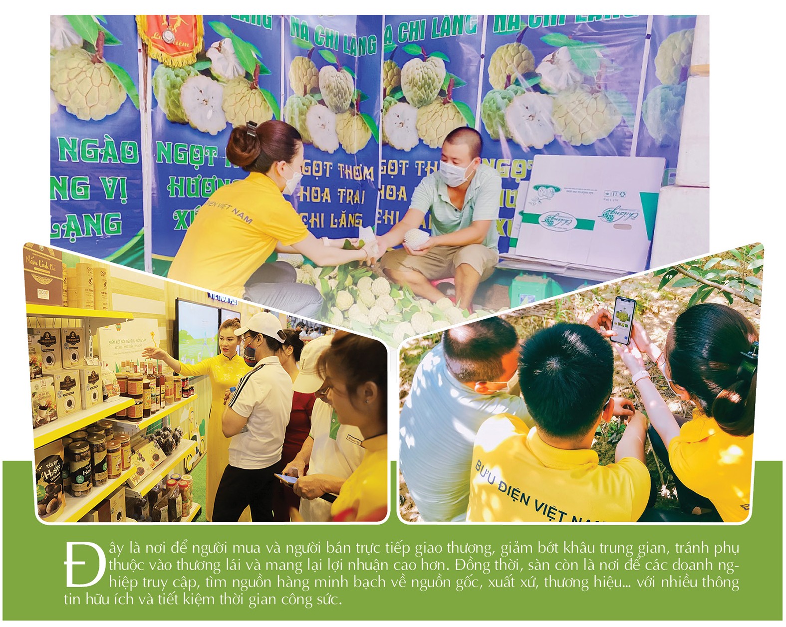 Longform | Sàn thương mại điện tử Việt tăng cường hỗ trợ tiêu thụ nông sản miền núi Longform | Sàn thương mại điện tử Việt tăng cường hỗ trợ tiêu thụ nông sản miền núi