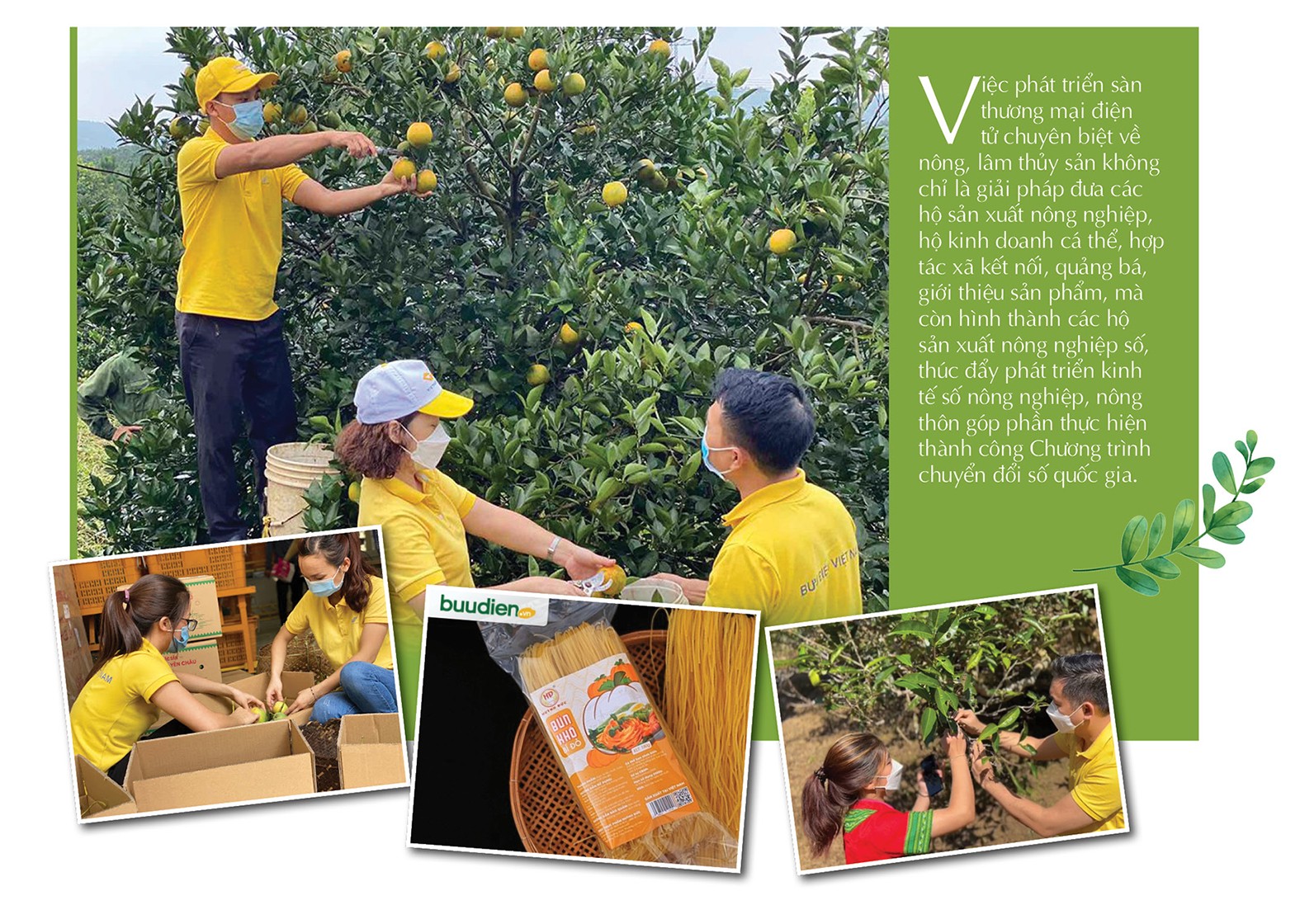 Longform | Sàn thương mại điện tử Việt tăng cường hỗ trợ tiêu thụ nông sản miền núi Longform | Sàn thương mại điện tử Việt tăng cường hỗ trợ tiêu thụ nông sản miền núi