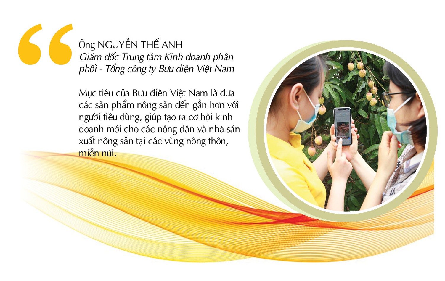 Longform | Sàn thương mại điện tử Việt tăng cường hỗ trợ tiêu thụ nông sản miền núi Longform | Sàn thương mại điện tử Việt tăng cường hỗ trợ tiêu thụ nông sản miền núi