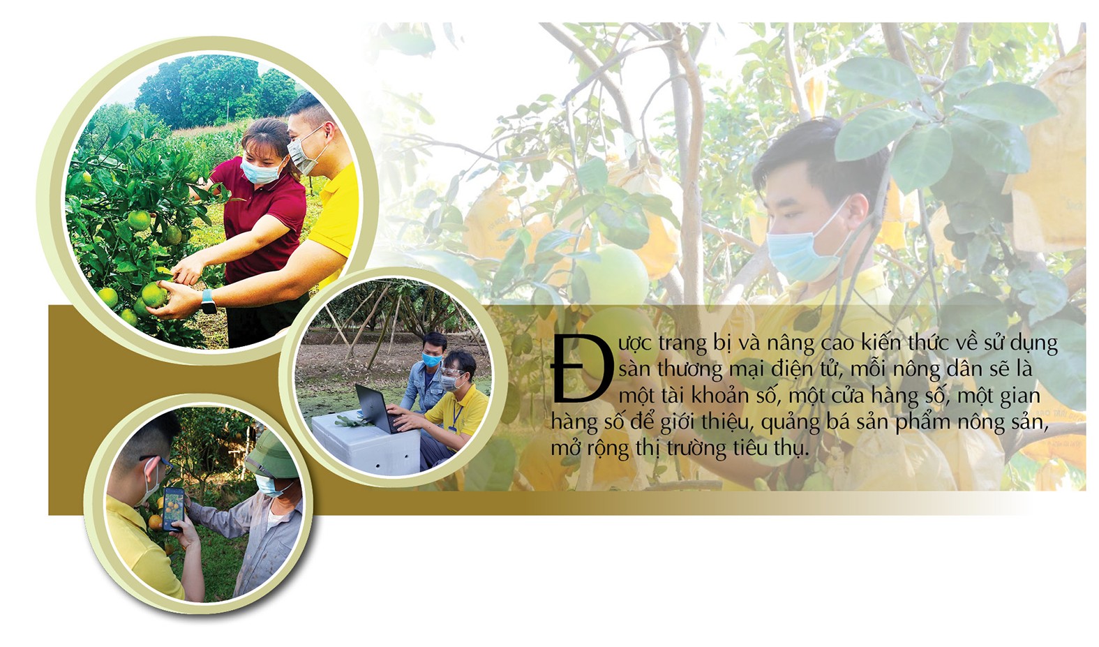 Longform | Sàn thương mại điện tử Việt tăng cường hỗ trợ tiêu thụ nông sản miền núi Longform | Sàn thương mại điện tử Việt tăng cường hỗ trợ tiêu thụ nông sản miền núi