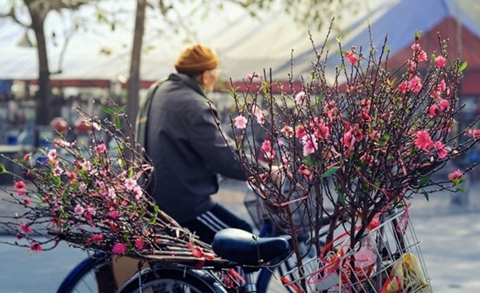 Mùng 1 Tết Âm lịch 2025 là ngày 29/01/2025 dương lịch. Hôm nay là ngày 05/10/2024. Như vậy, còn 115 ngày nữa sẽ đến Tết Âm lịch 2025. Mùng 1 Tết Âm lịch 2025 là ngày 29/01/2025 dương lịch. Hôm nay là ngày 05/10/2024. Như vậy, còn 115 ngày nữa sẽ đến Tết Âm lịch 2025.