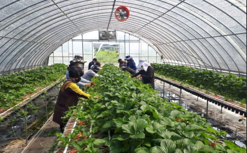 Thị trường lao động Hàn Quốc Thị trường lao động Hàn Quốc
