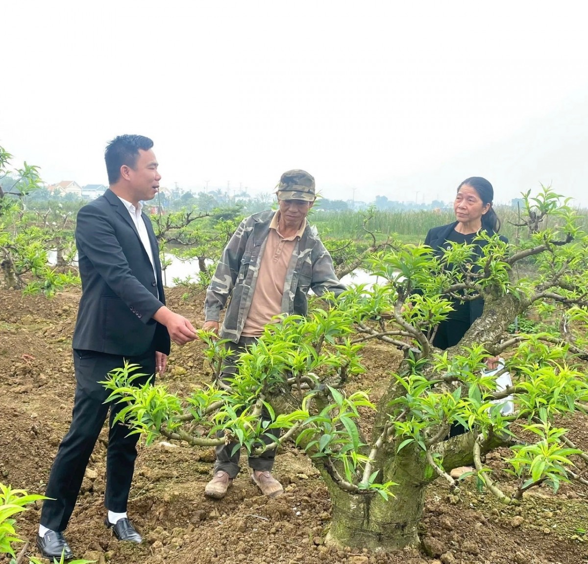 Ngân hàng Chính sách xã hội Chi nhánh Hải Phòng: Kịp thời giải ngân hỗ trợ người dân khôi phục sản xuất Ngân hàng Chính sách xã hội Chi nhánh Hải Phòng: Kịp thời giải ngân hỗ trợ người dân khôi phục sản xuất