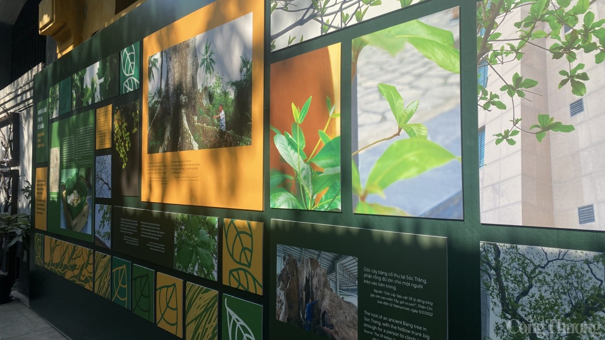 Kể chuyện 'Bàng ơi' tại nhà tù Hỏa Lò Kể chuyện 'Bàng ơi' tại nhà tù Hỏa Lò