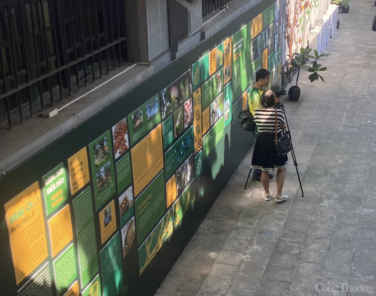 Kể chuyện 'Bàng ơi' tại nhà tù Hỏa Lò Kể chuyện 'Bàng ơi' tại nhà tù Hỏa Lò