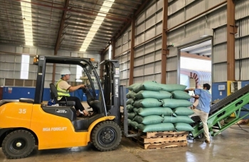 Giá tăng kỷ lục, cà phê xuất khẩu chiếm 80% tổng kim ngạch xuất khẩu của tỉnh Gia Lai