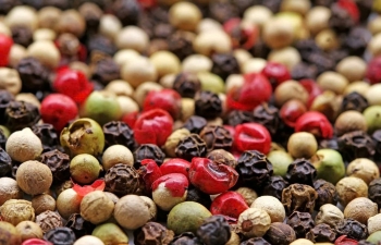 Giá xuất khẩu hồ tiêu vẫn ở mức cao do nguồn cung hạn chế