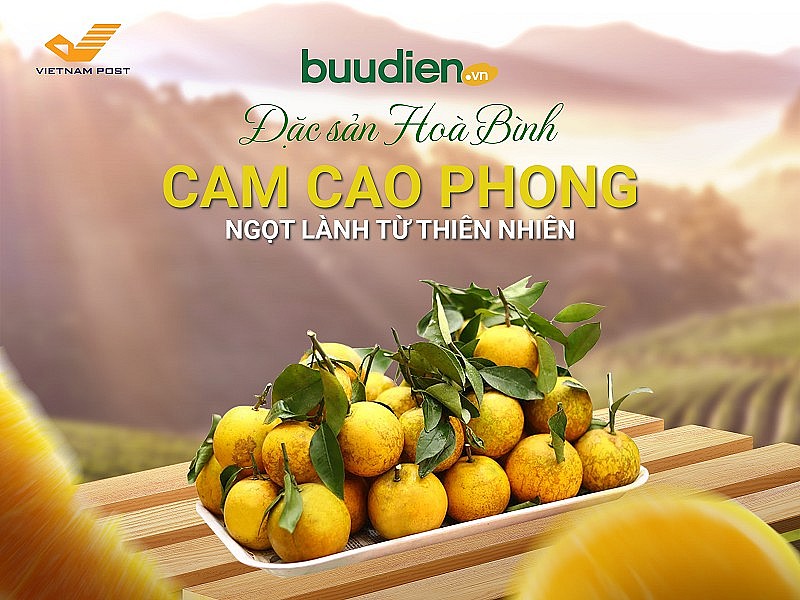 Hoà Bình: Gia tăng tiêu thụ cam Cao Phong trên sàn thương mại điện tử