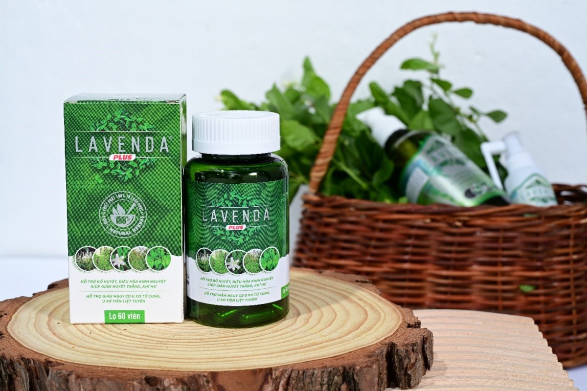 Lavenda công thức thảo dược gia truyền