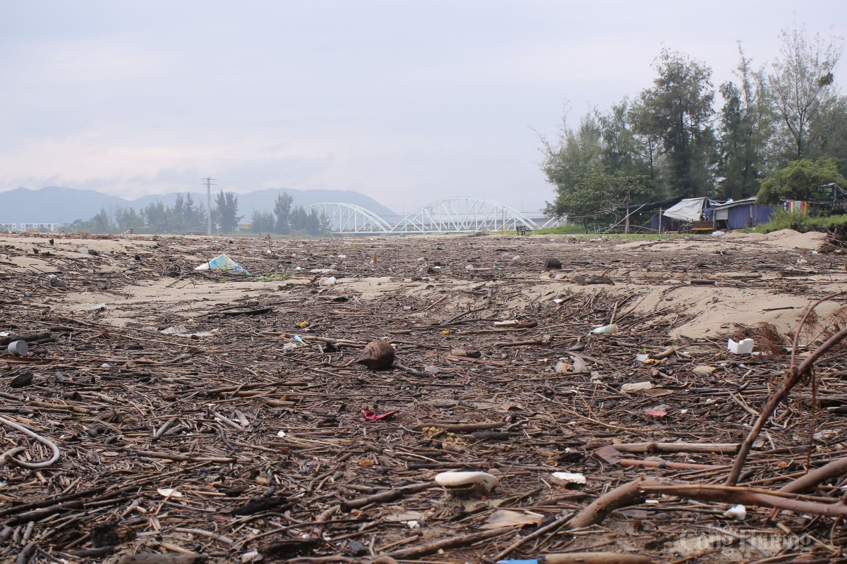 Trước đó, việc thi công kè chắn sóng thuộc dự án trên cũng bị buộc phải tạm dừng để kiểm tra vì xây dựng sát chân cầu đường sắt Nam Ô, xâm phạm an toàn đường sắt