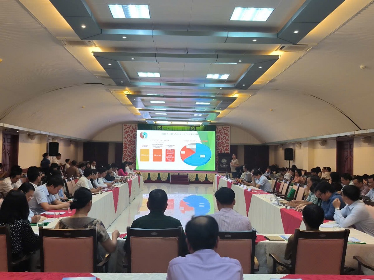 Bàn giải pháp thu gom, xử lý chất thải rắn sinh hoạt tại các đảo và khu vực ven biển Bàn giải pháp thu gom, xử lý chất thải rắn sinh hoạt tại các đảo và khu vực ven biển