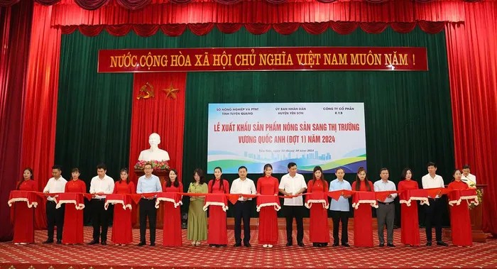 Tuyên Quang: Lần đầu xuất khẩu sản phẩm OCOP sang Vương quốc Anh Tuyên Quang: Lần đầu xuất khẩu sản phẩm OCOP sang Vương quốc Anh