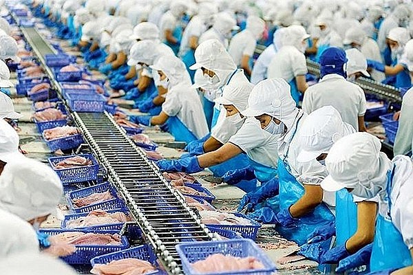 Để được phép xuất khẩu thủy sản sang Trung Quốc, các doanh nghiệp Việt Nam phải vượt qua nhiều quy trình kiểm soát chặt chẽ