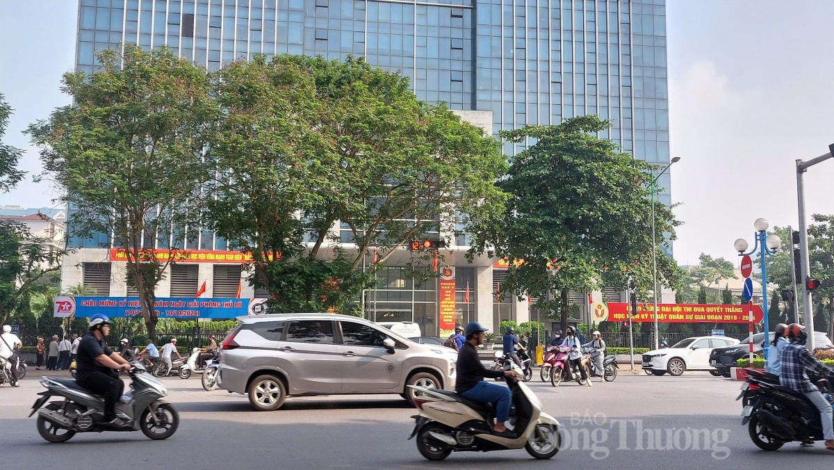 Dự báo thời tiết hôm nay ngày 12/10/2024: …