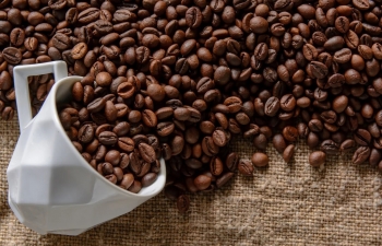 Giá cà phê 'hạ nhiệt', rời khỏi mốc 5000 USD/tấn