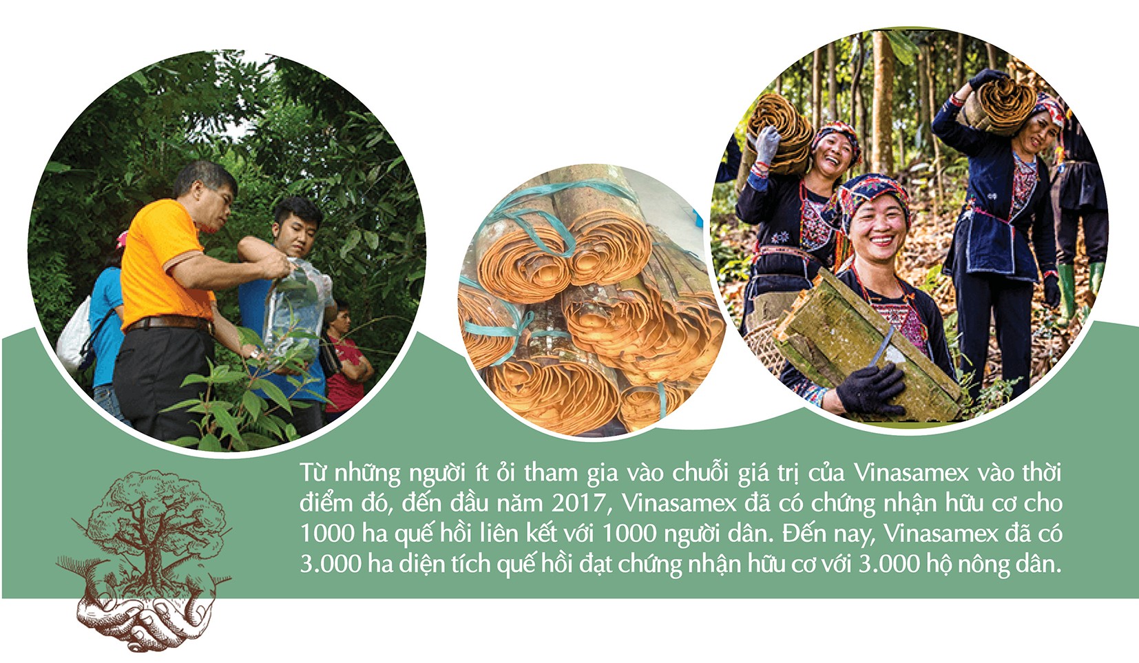 Longform | 'Xanh hoá' sản phẩm, khẳng định thương hiệu nông sản trên thị trường Longform | 'Xanh hoá' sản phẩm, khẳng định thương hiệu nông sản trên thị trường