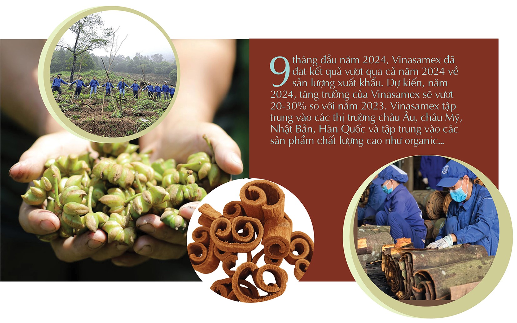 Longform | 'Xanh hoá' sản phẩm, khẳng định thương hiệu nông sản trên thị trường Longform | 'Xanh hoá' sản phẩm, khẳng định thương hiệu nông sản trên thị trường