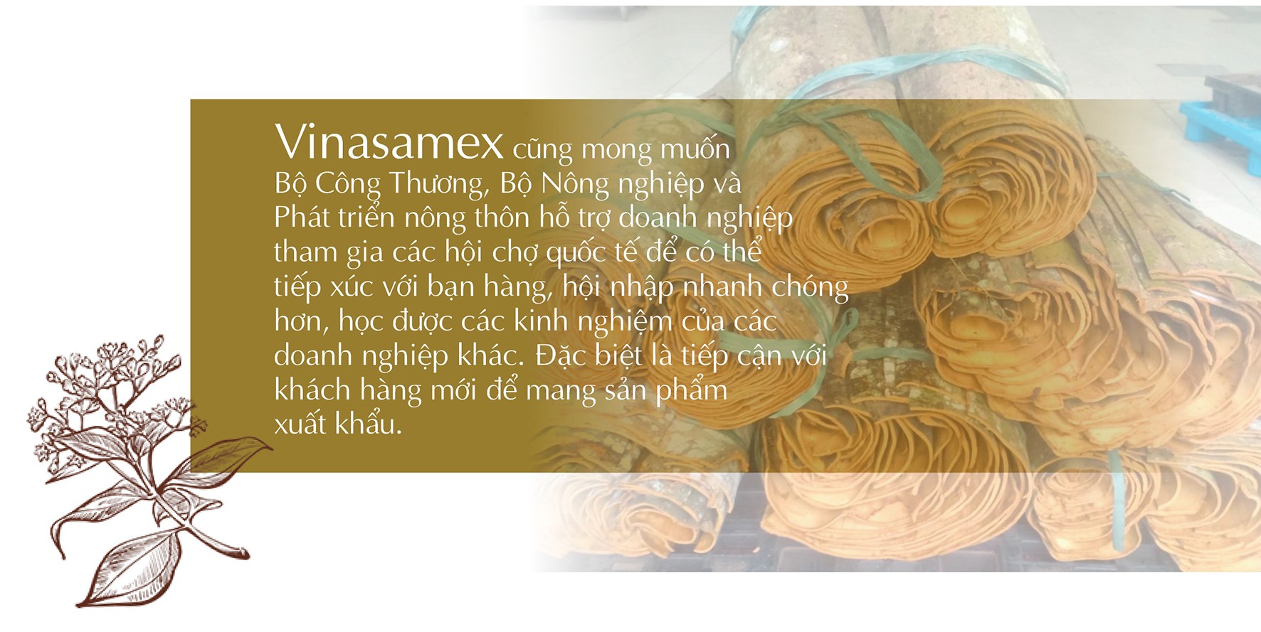 Longform | 'Xanh hoá' sản phẩm, khẳng định thương hiệu nông sản trên thị trường Longform | 'Xanh hoá' sản phẩm, khẳng định thương hiệu nông sản trên thị trường