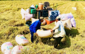 Xuất khẩu nông sản Việt và lợi thế phát triển trên 'sân nhà' châu Á