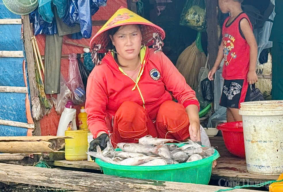 Gia Lai: Người dân ngậm ngùi nhìn cá chết la liệt kín mặt hồ Gia Lai: Người dân ngậm ngùi nhìn cá chết la liệt kín mặt hồ