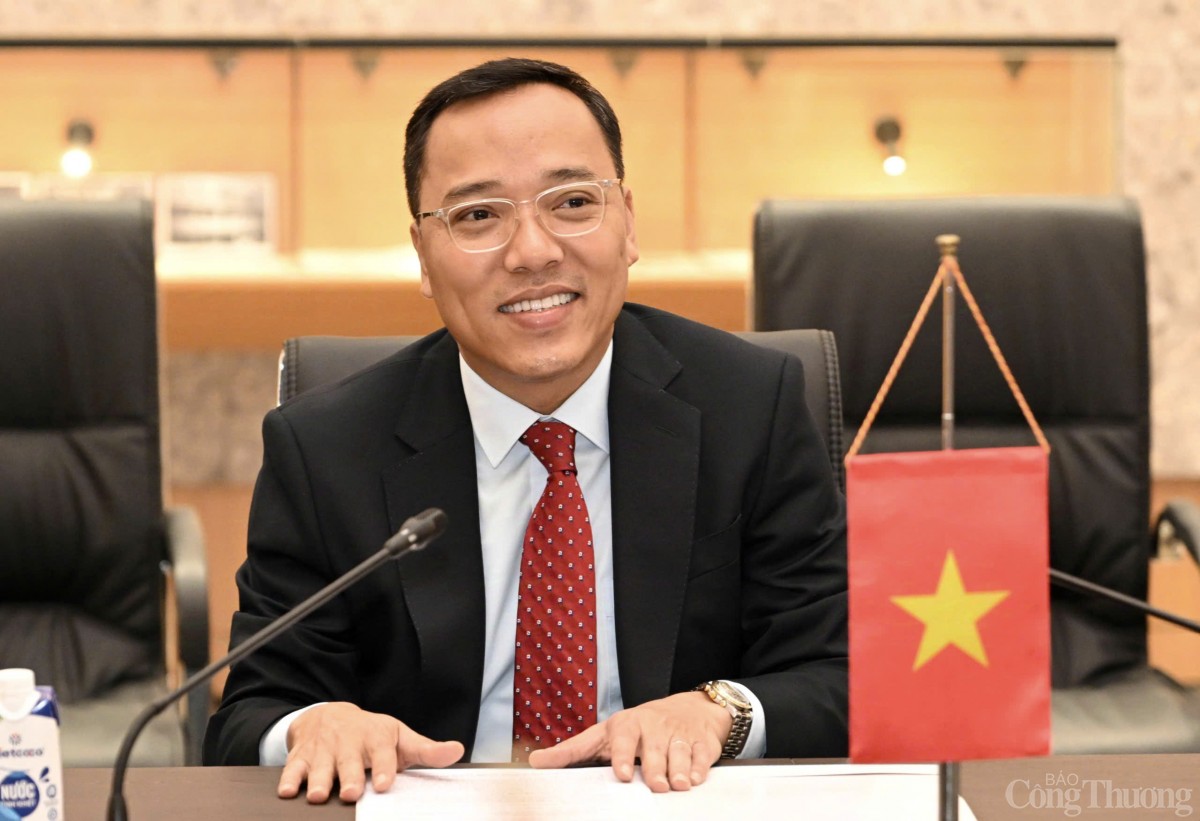 Thứ trưởng Nguyễn Hoàng Long tiếp Chủ tịch Phòng Thương mại và Công nghiệp tỉnh Prahova, Rumani