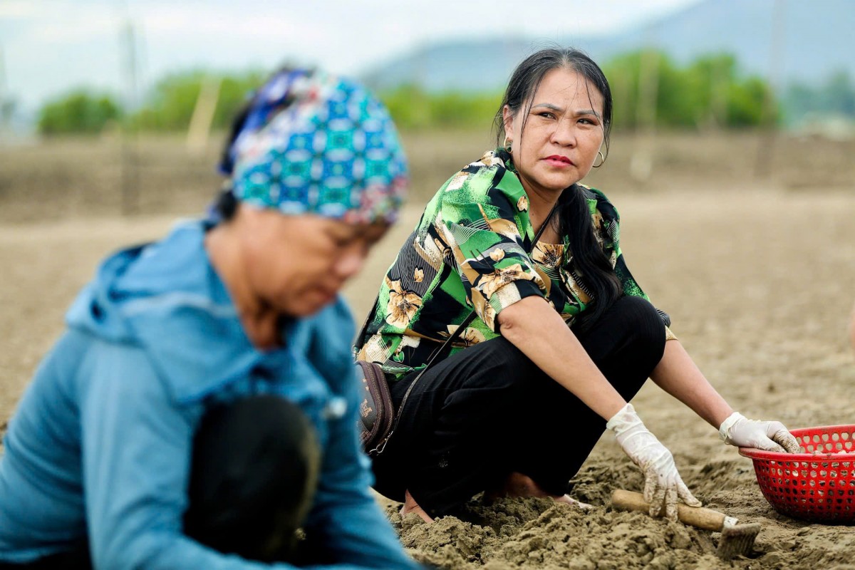 nông dân nguyễn thị biên nông dân nguyễn thị biên