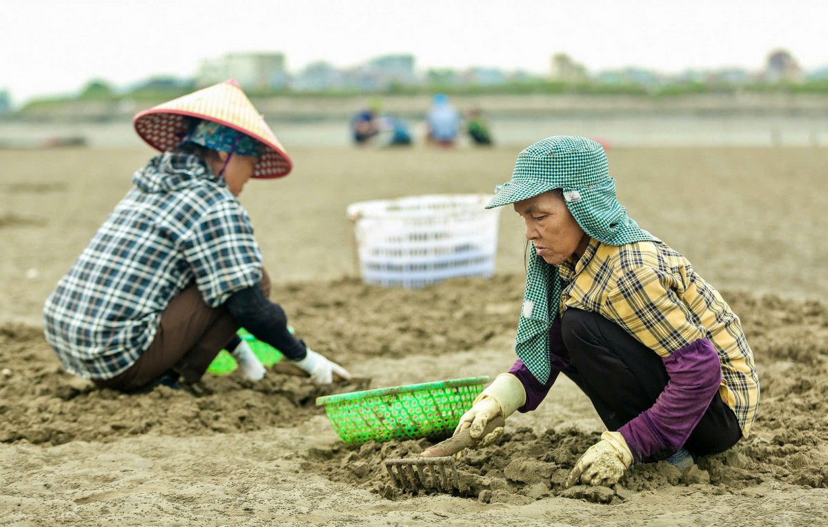 nông dân nguyễn thị biên nông dân nguyễn thị biên