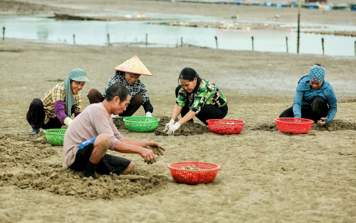 nông dân nguyễn thị biên nông dân nguyễn thị biên