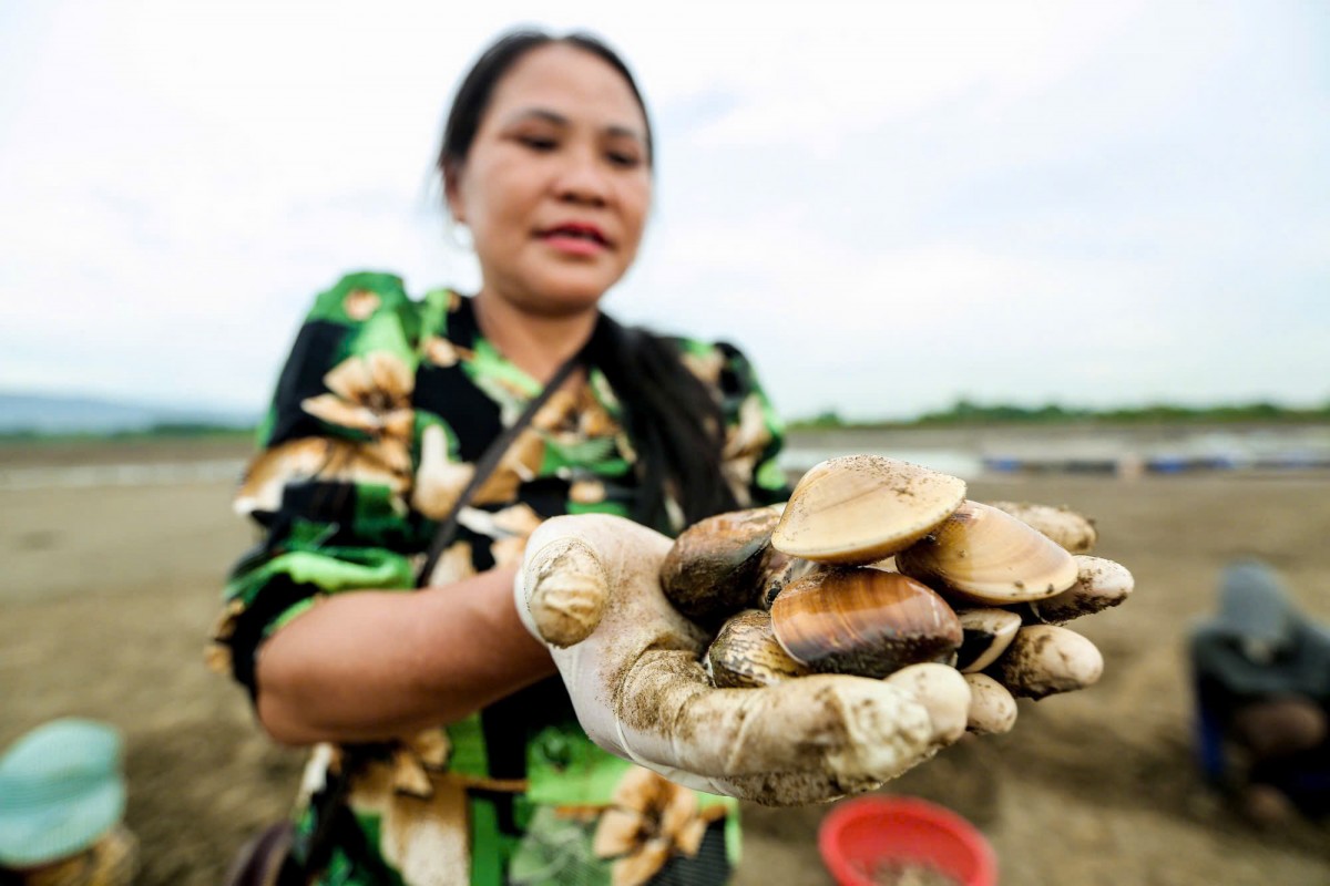nông dân nguyễn thị biên nông dân nguyễn thị biên