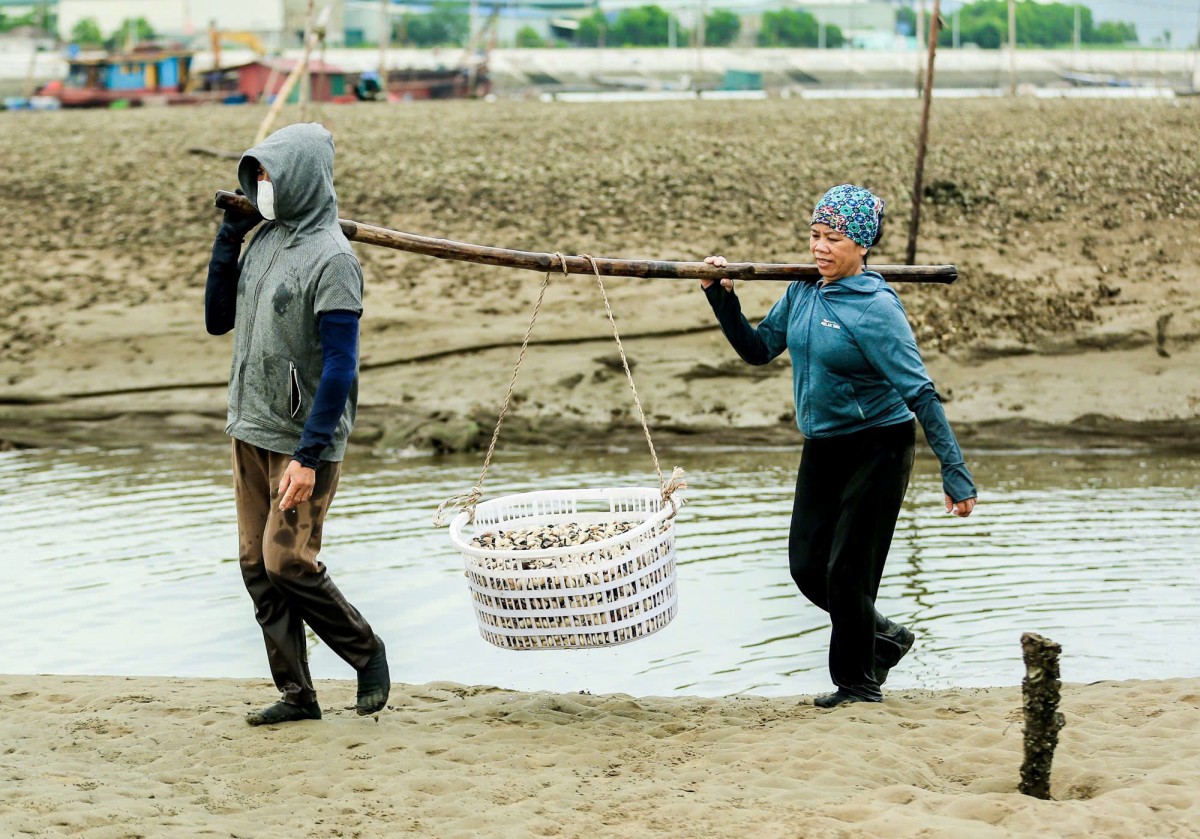 nông dân nguyễn thị biên nông dân nguyễn thị biên