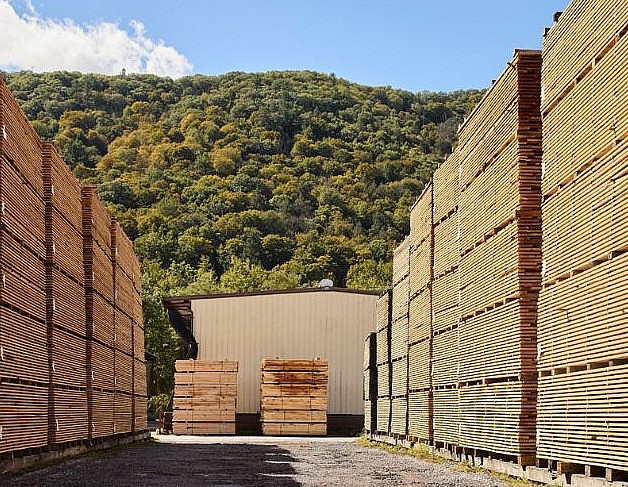 Nguồn nguyên liệu gỗ rừng trồng chiếm khoảng 70% nhu cầu trong nước