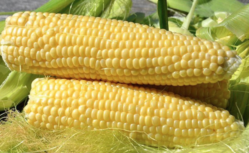 Achentina là thị trường cung cấp ngô lớn nhất cho Việt Nam Achentina là thị trường cung cấp ngô lớn nhất cho Việt Nam