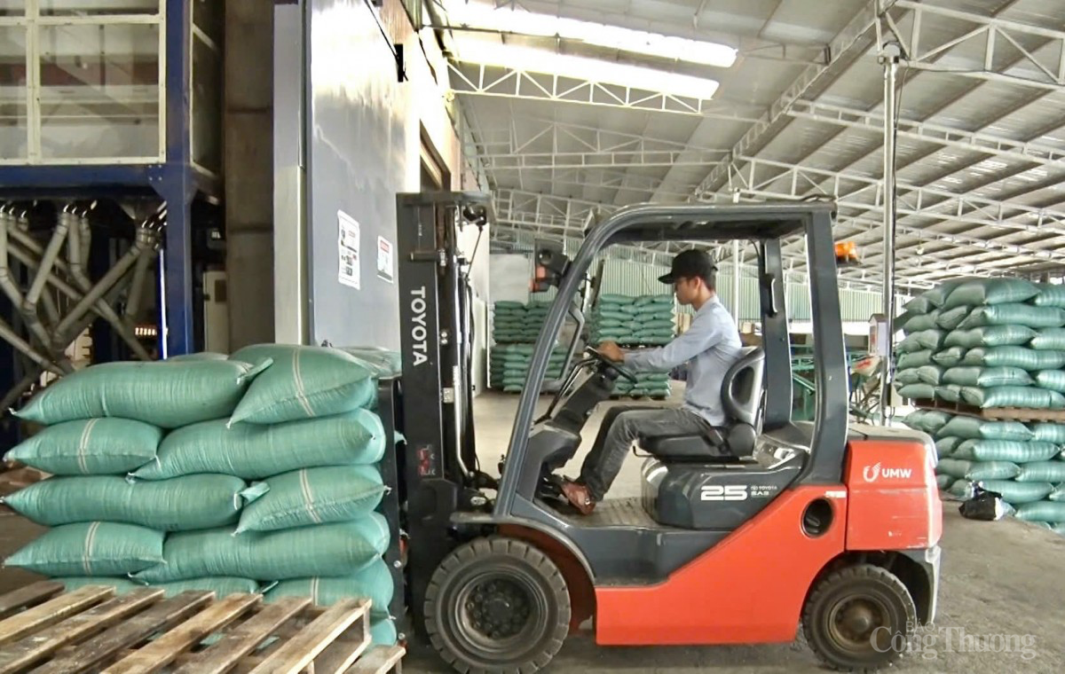 Gia Lai: 179 doanh nghiệp quay trở lại hoạt động Gia Lai: 179 doanh nghiệp quay trở lại hoạt động