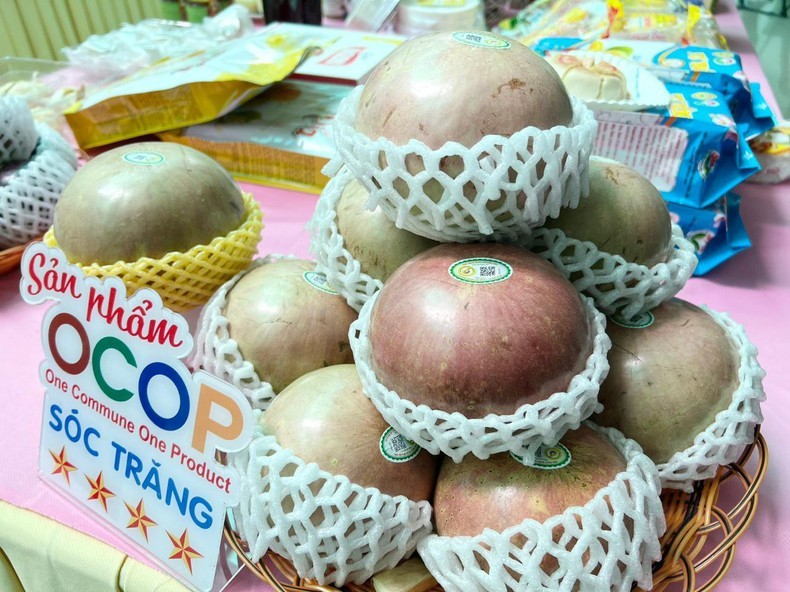 Sóc Trăng: 350 gian hàng quy tụ tại Hội chợ OCOP năm 2024. Ảnh minh họa Sóc Trăng: 350 gian hàng quy tụ tại Hội chợ OCOP năm 2024. Ảnh minh họa