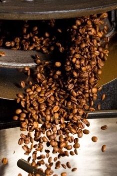 Giá cà phê hôm nay 18/10/2024: Thị trường tiếp tục quay đầu giảm sâu