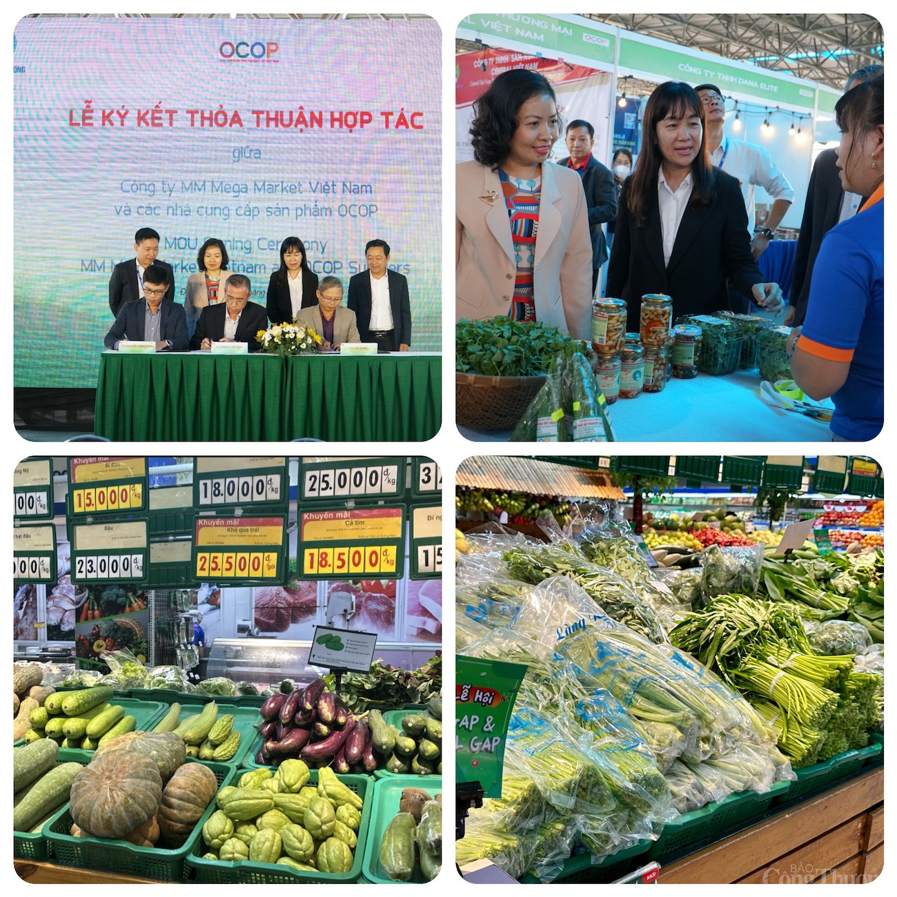 Thăm làng rau duy nhất Đà Nẵng là hợp tác xã tiêu biểu năm 2024 Thăm làng rau duy nhất Đà Nẵng là hợp tác xã tiêu biểu năm 2024