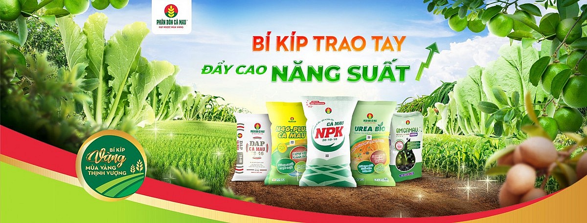 Phân Bón Cà Mau cho ra đời nhiều dòng sản phẩm phân bón chất lượng cao 