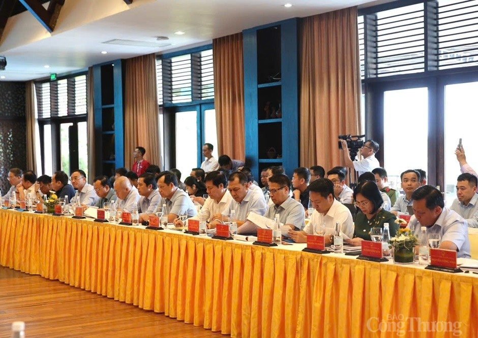 Chùm ảnh: Hội nghị tháo gỡ khó khăn, vướng mắc các dự án năng lượng tái tạo