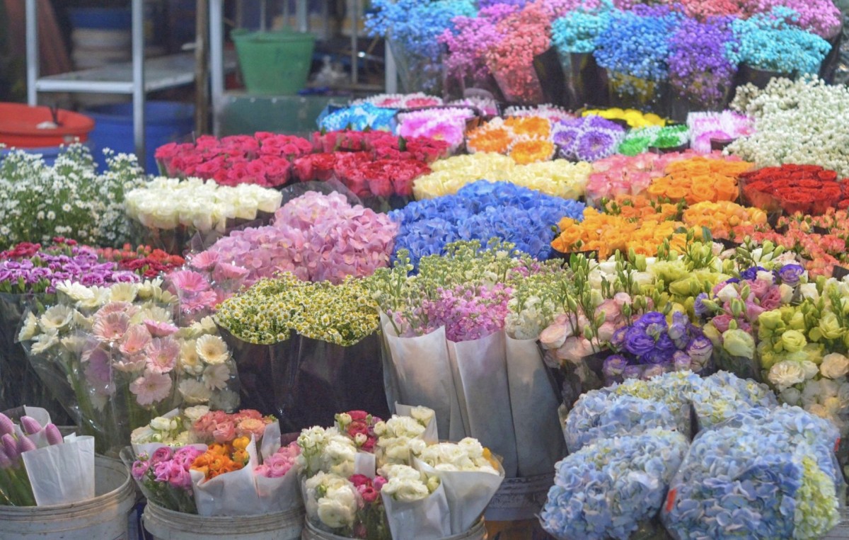 Thị trường hoa ngày 20/10: Chợ hoa Quảng Bá, Quảng An chật kín người, giá hoa tăng chóng mặt Thị trường hoa ngày 20/10: Chợ hoa Quảng Bá, Quảng An chật kín người, giá hoa tăng chóng mặt