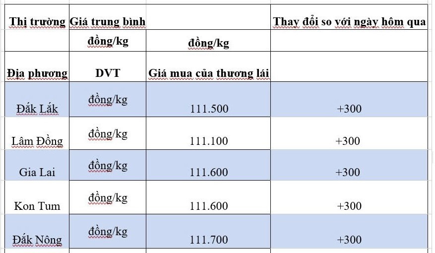 Giá cà phê hôm nay 20/10/2024: Giá cà phê hôm nay 20/10/2024: