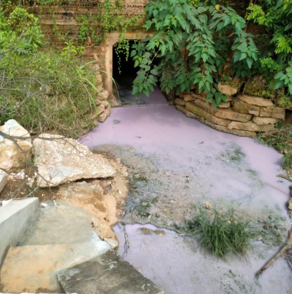 xả thải trực tiếp ra môi trường