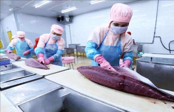 Nguyên nhân nào ảnh hưởng tới xuất khẩu cá ngừ sang thị trường Trung Đông?