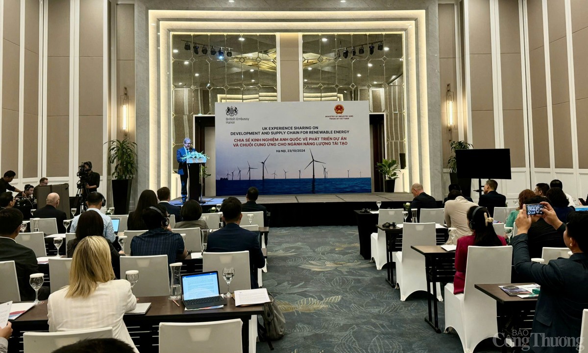 Vương quốc Anh sẵn sàng hỗ trợ Việt Nam xây dựng chuỗi cung ứng ngành năng lượng tái tạo