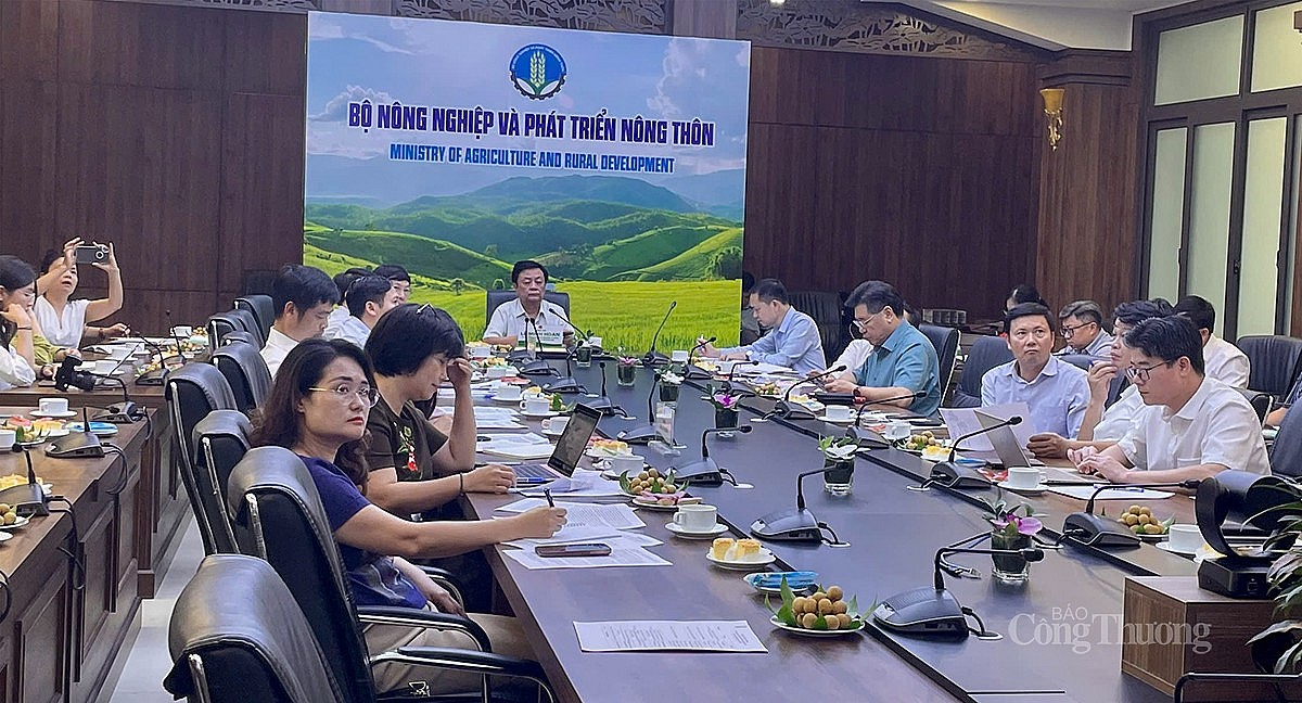 Toàn cảnh cuộc họp Toàn cảnh cuộc họp