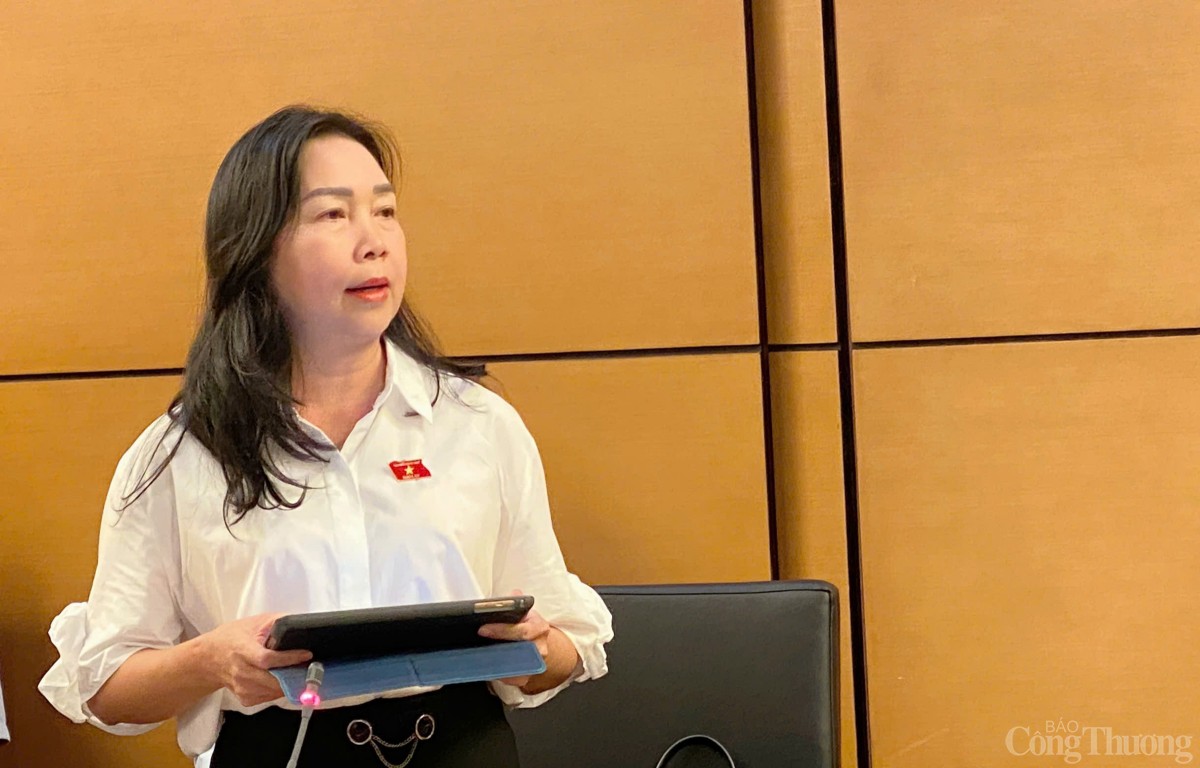 Đại biểu Lý Tiết Hạnh - đoàn Bình Định Đại biểu Lý Tiết Hạnh - đoàn Bình Định