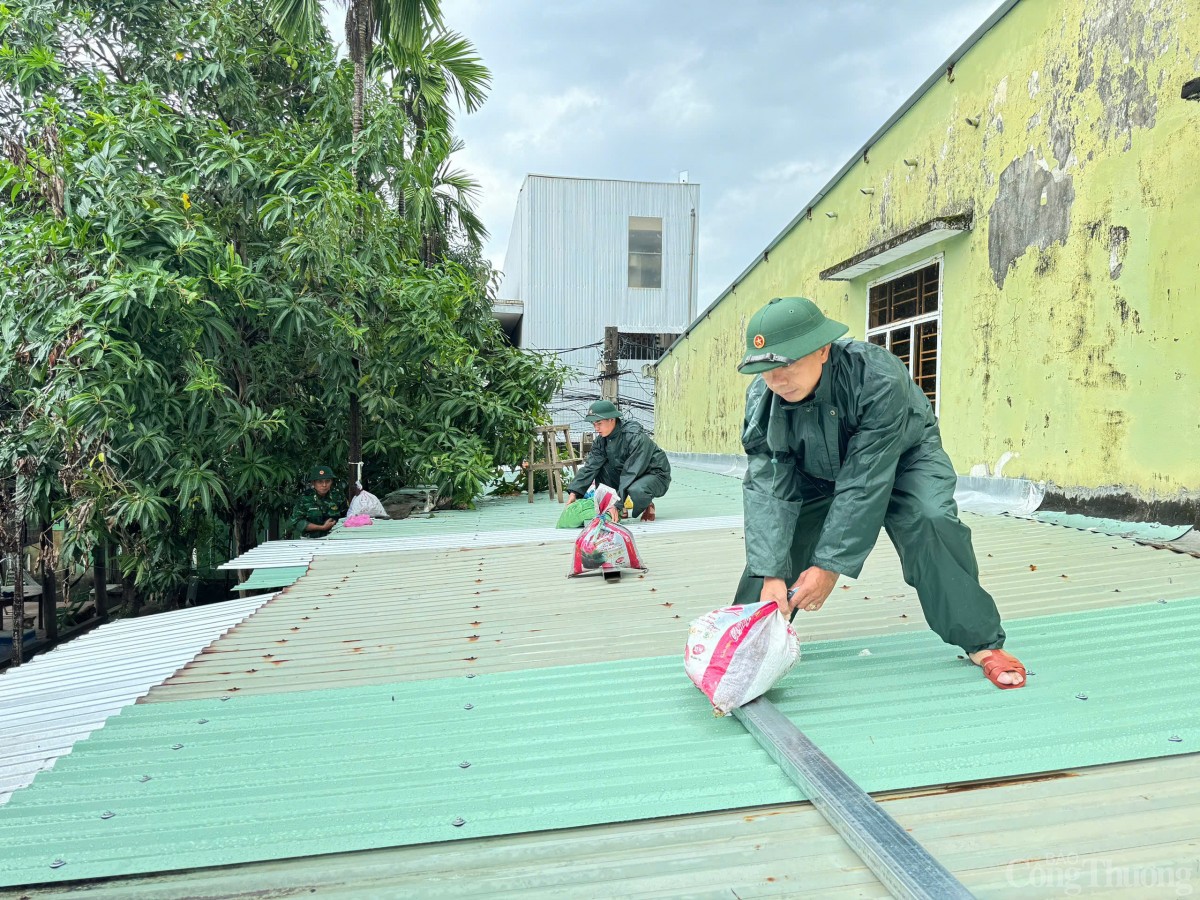 Chằng chống nhà cửa đảm bảo an toàn trước ảnh hưởng của bão bão Trà Mi Chằng chống nhà cửa đảm bảo an toàn trước ảnh hưởng của bão bão Trà Mi