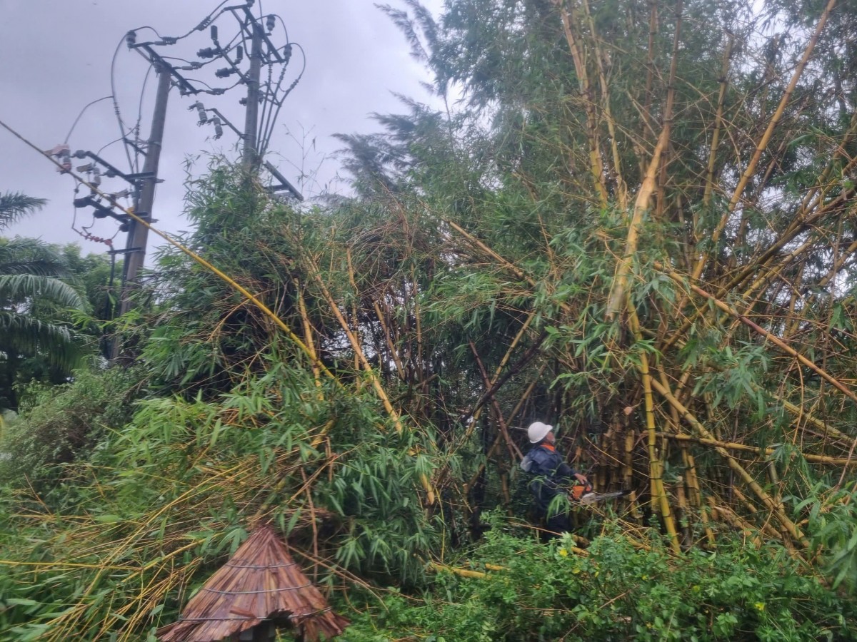 Ảnh hưởng của bão số 6, toàn miền Trung - Tây Nguyên xảy ra 186 vụ sự cố mất điện khiến hàng trăm nghìn khách hàng mất điện Ảnh hưởng của bão số 6, toàn miền Trung - Tây Nguyên xảy ra 186 vụ sự cố mất điện khiến hàng trăm nghìn khách hàng mất điện