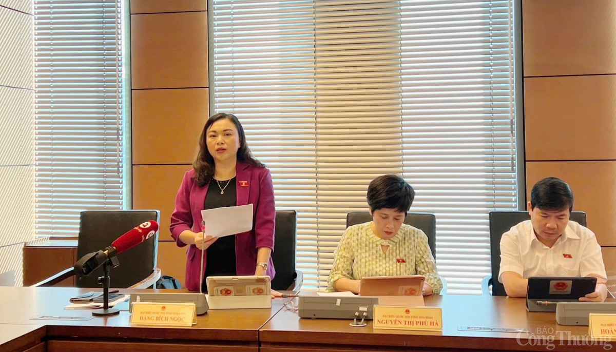 Đại biểu Đặng Bích Ngọc - Đoàn ĐBQH tỉnh Hòa Bình Đại biểu Đặng Bích Ngọc - Đoàn ĐBQH tỉnh Hòa Bình