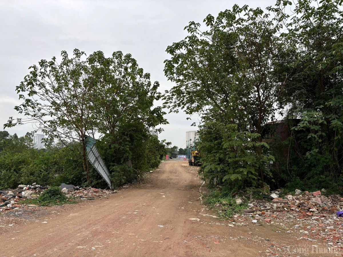 Thanh Trì (Hà Nội): Sân pickleball mọc lên như nấm trên đất nông nghiệp và các dự án bỏ hoang