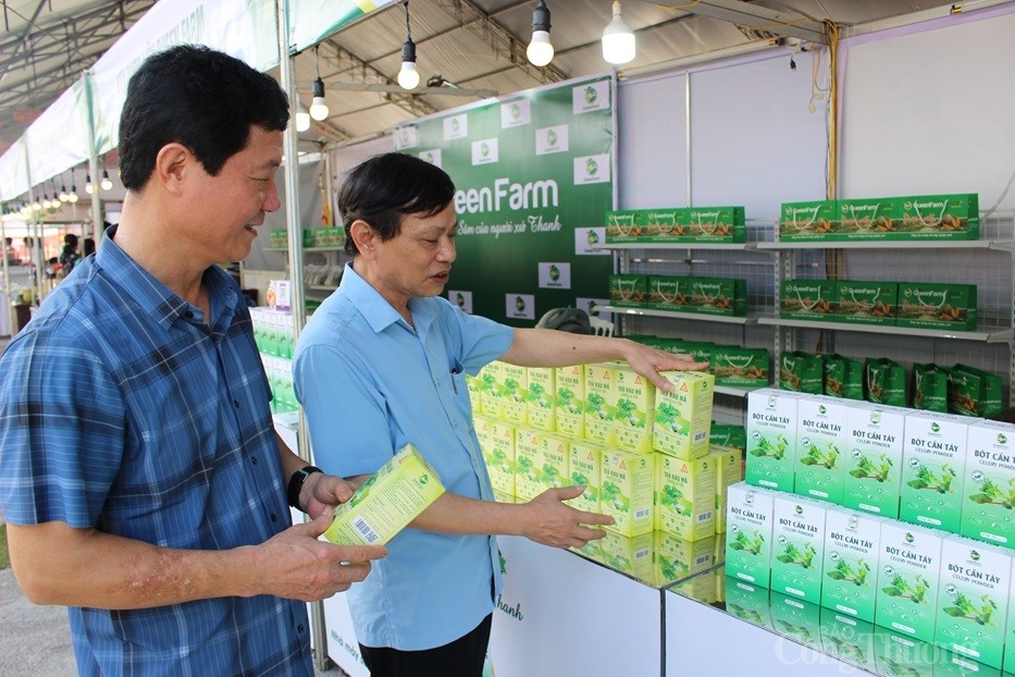 Thanh Hóa: Kinh tế tập thể tạo ra nhiều việc làm, nâng cao thu nhập cho khu vực nông thôn